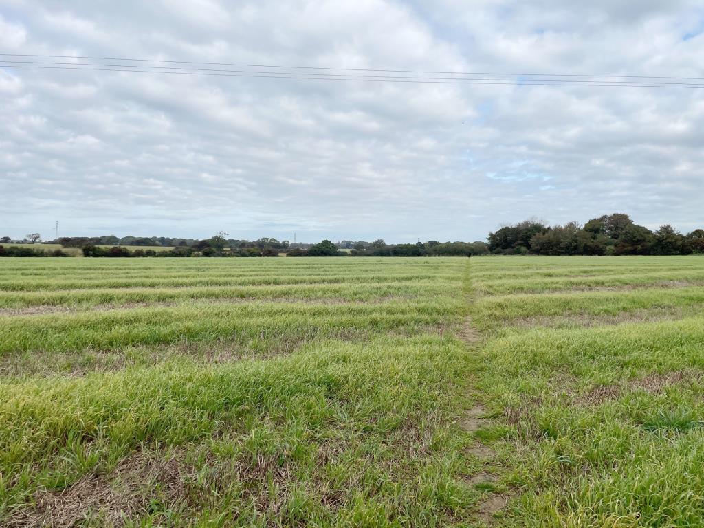 Lot: 95 - ALMOST TEN ACRES OF LAND - General view